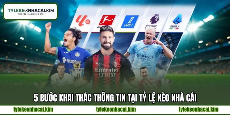 5 bước khai thác thông tin tại tỷ lệ kèo nhà cái