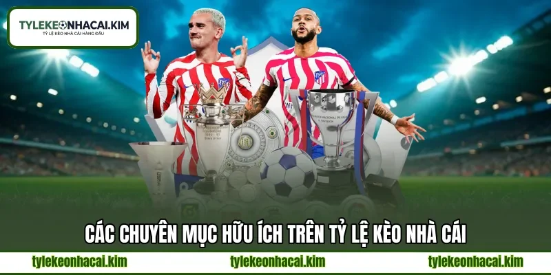 Các chuyên mục hữu ích trên tỷ lệ kèo nhà cái