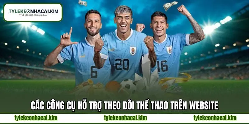 Các công cụ hỗ trợ theo dõi thể thao trên website