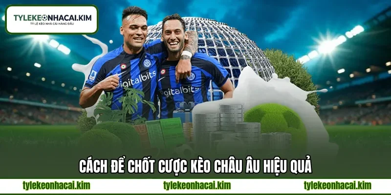Cách để chốt cược kèo Châu Âu hiệu quả Cách để chốt cược kèo Châu Âu hiệu quả