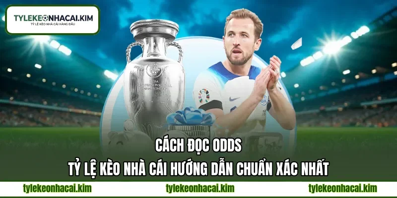 Cách Đọc Odds | Tỷ Lệ Kèo Nhà Cái Hướng Dẫn Chuẩn Xác Nhất