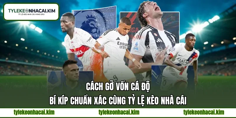 Cách Gỡ Vốn Cá Độ | Bí Kíp Chuẩn Xác Cùng Tỷ Lệ Kèo Nhà Cái