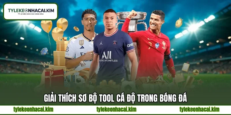 Giải thích sơ bộ tool cá độ trong bóng đá