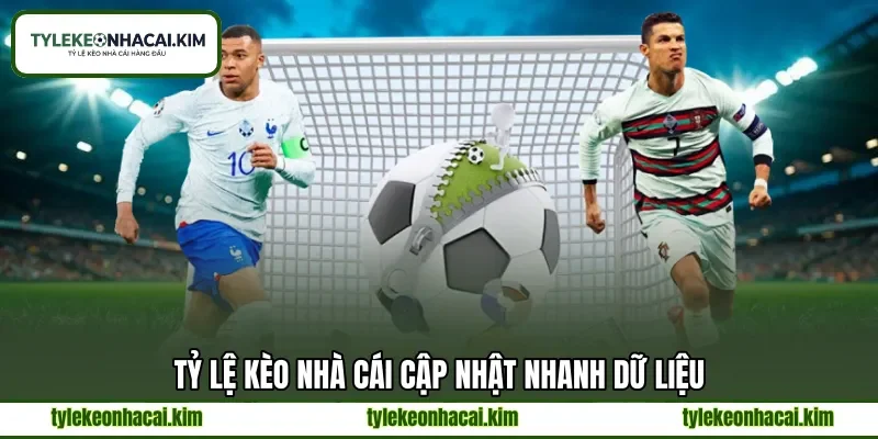 Tỷ lệ kèo nhà cái cập nhật nhanh dữ liệu