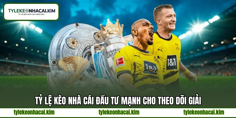 Tỷ lệ kèo nhà cái đầu tư mạnh cho theo dõi giải